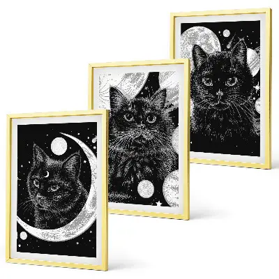 Set tablouri decorative pisici negre în spațiul lunar