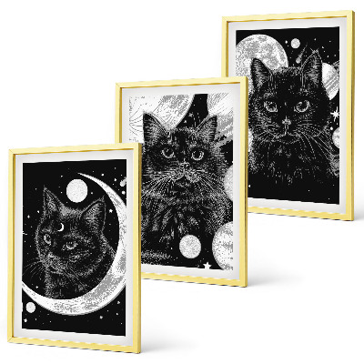 Set tablouri decorative Pisici negre, spațiu lunar