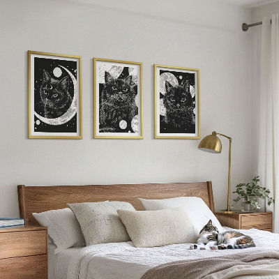 Set tablouri decorative Pisici negre, spațiu lunar