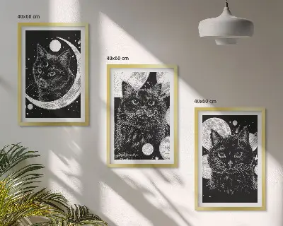 Set tablouri decorative pisici negre în spațiul lunar