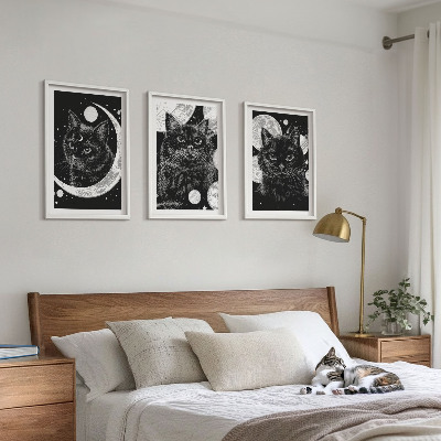 Set tablouri decorative Pisici negre, spațiu lunar