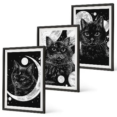 Set tablouri decorative Pisici negre, spațiu lunar