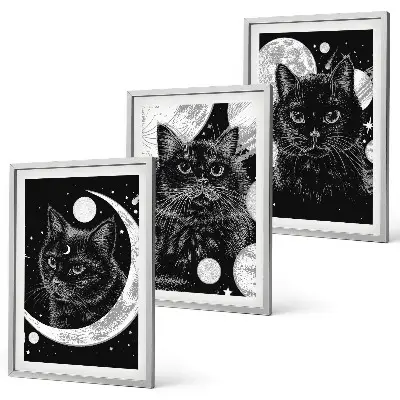 Set tablouri decorative pisici negre în spațiul lunar