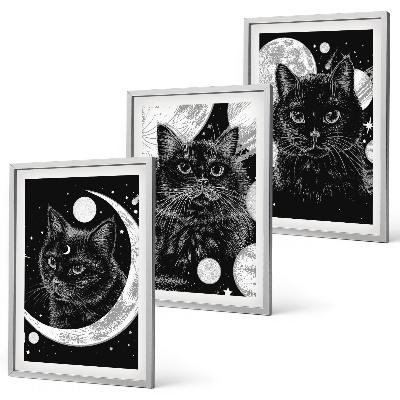 Set tablouri decorative Pisici negre, spațiu lunar