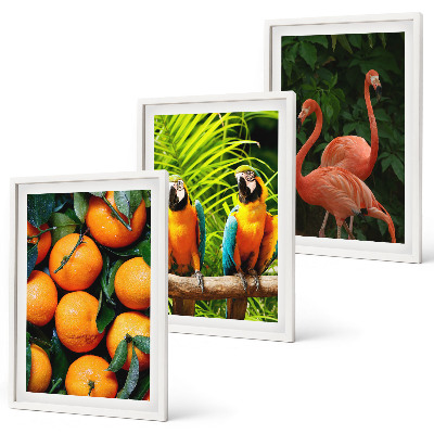 Set tablouri pentru dormitor Accente fructate în zonele tropicale