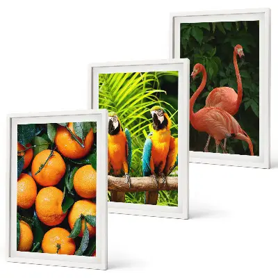 Set de tablouri pentru dormitor cu motive tropicale și accente fructate