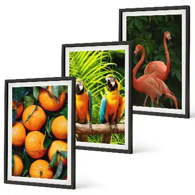 Set de tablouri pentru dormitor cu motive tropicale și accente fructate