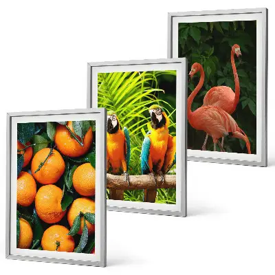 Set de tablouri pentru dormitor cu motive tropicale și accente fructate