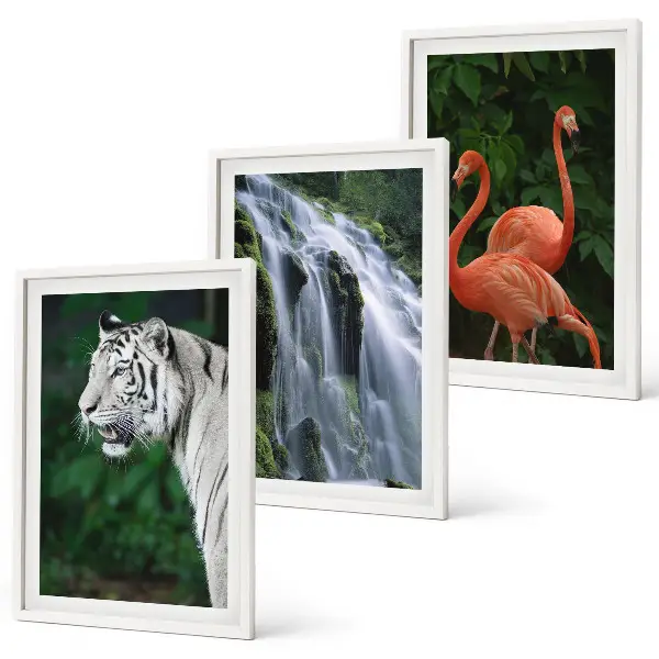 Set tablouri decorative cu model cascadă, tigru, flamingi și natură