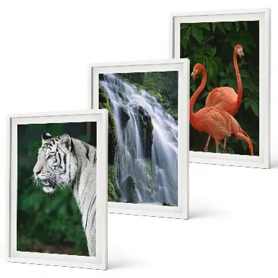 Set tablouri decorative cu model cascadă, tigru, flamingi și natură