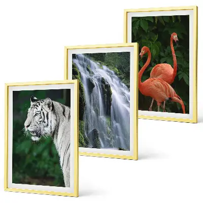 Set tablouri decorative cu model cascadă, tigru, flamingi și natură