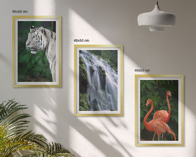 Set tablouri decorative Cascadă Tigru flamingi natură