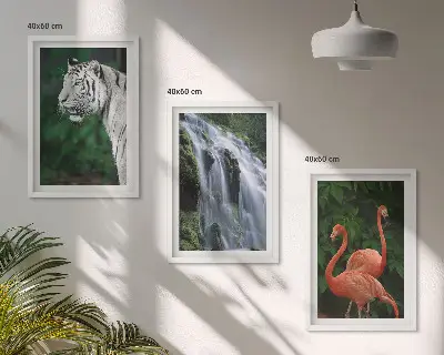 Set tablouri decorative cu model cascadă, tigru, flamingi și natură