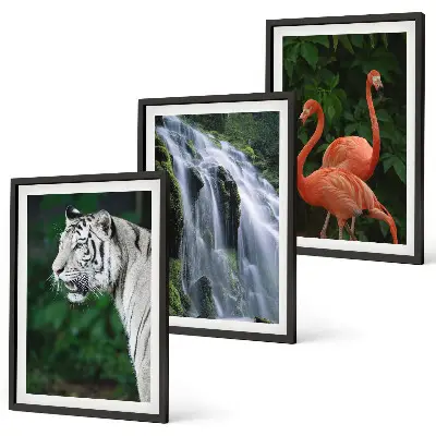 Set tablouri decorative cu model cascadă, tigru, flamingi și natură