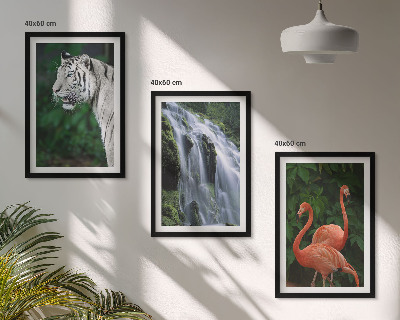Set tablouri decorative Cascadă Tigru flamingi natură