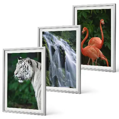 Set tablouri decorative cu model cascadă, tigru, flamingi și natură
