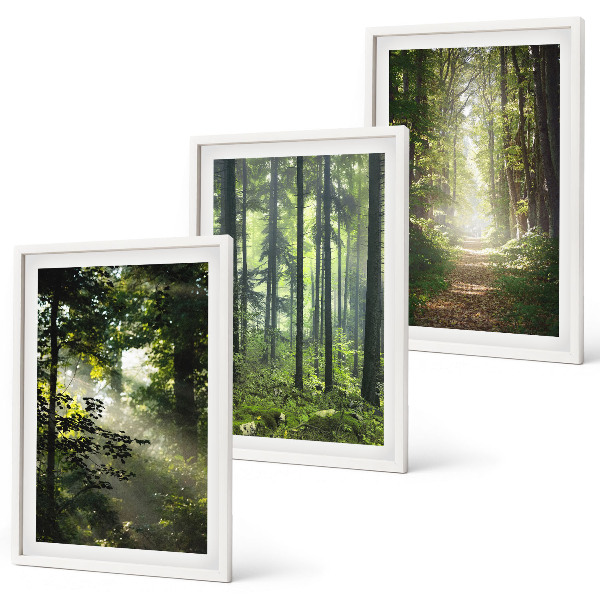 Set tablouri decorative Păduri verzi cu raze de lumină