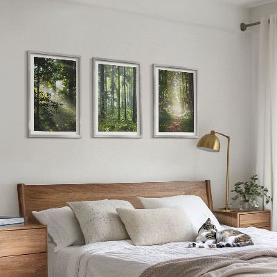 Set tablouri decorative Păduri verzi cu raze de lumină