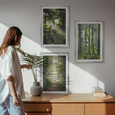 Set tablouri decorative Păduri verzi cu raze de lumină