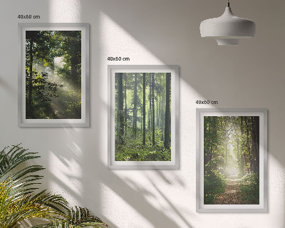Set tablouri decorative Păduri verzi cu raze de lumină