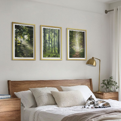 Set tablouri decorative Păduri verzi cu raze de lumină