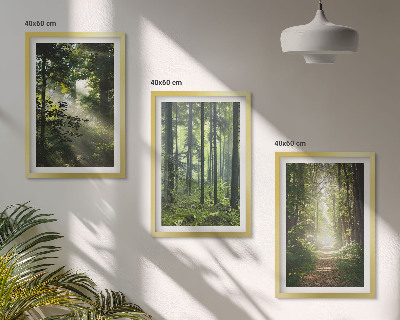 Set tablouri decorative Păduri verzi cu raze de lumină