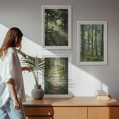 Set tablouri decorative Păduri verzi cu raze de lumină