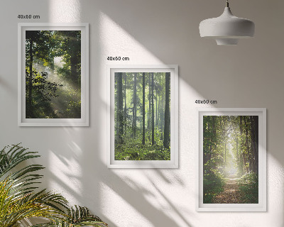 Set tablouri decorative Păduri verzi cu raze de lumină