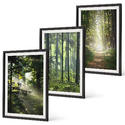 Set tablouri decorative Păduri verzi cu raze de lumină