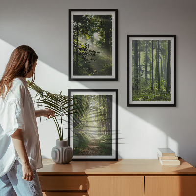 Set tablouri decorative Păduri verzi cu raze de lumină