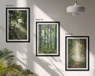 Set tablouri decorative Păduri verzi cu raze de lumină