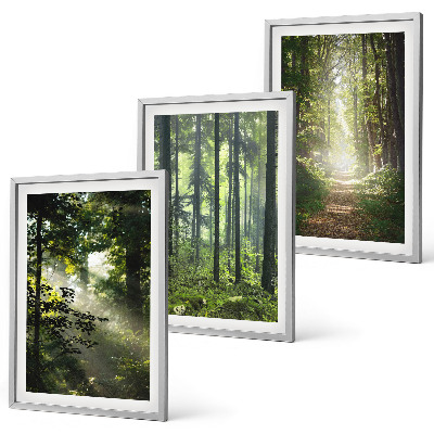 Set tablouri decorative Păduri verzi cu raze de lumină