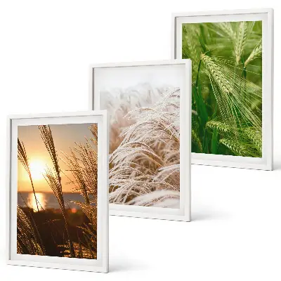 Set de tablouri pentru dormitor cu model de ierburi colorate în natură
