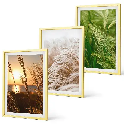 Set de tablouri pentru dormitor cu model de ierburi colorate în natură