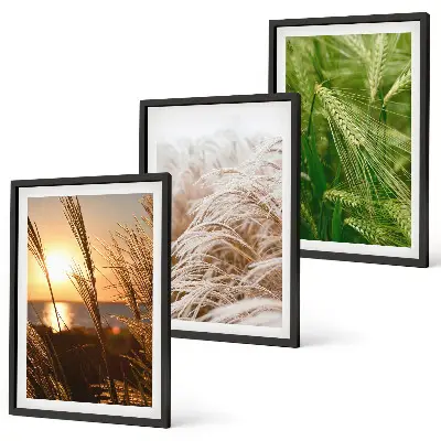Set de tablouri pentru dormitor cu model de ierburi colorate în natură