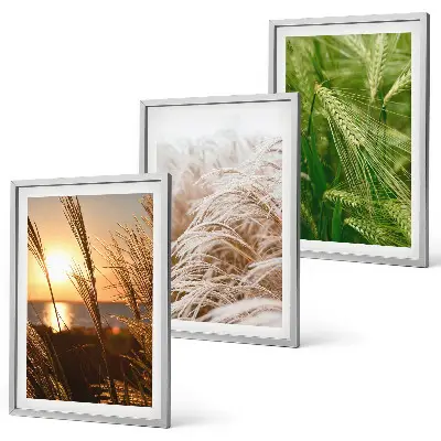Set de tablouri pentru dormitor cu model de ierburi colorate în natură