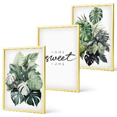 Set de tablouri decorative cu plante și mesajul Dulce Casă