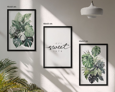 Set tablouri decorative Plante cu cuvintele „Dulce Casă”