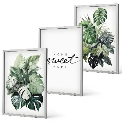 Set de tablouri decorative cu plante și mesajul Dulce Casă