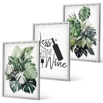 Set tablouri decorative cu frunze de plantă agățătoare