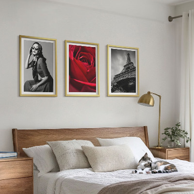 Set tablouri pentru dormitor Doamnă pariziană cu ochelari Eiffel