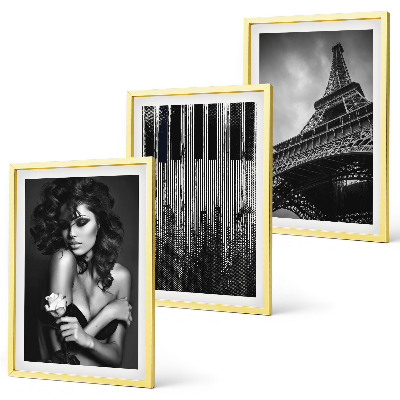 Set tablouri decorative Portretul unei femei cu un trandafir Eiffel