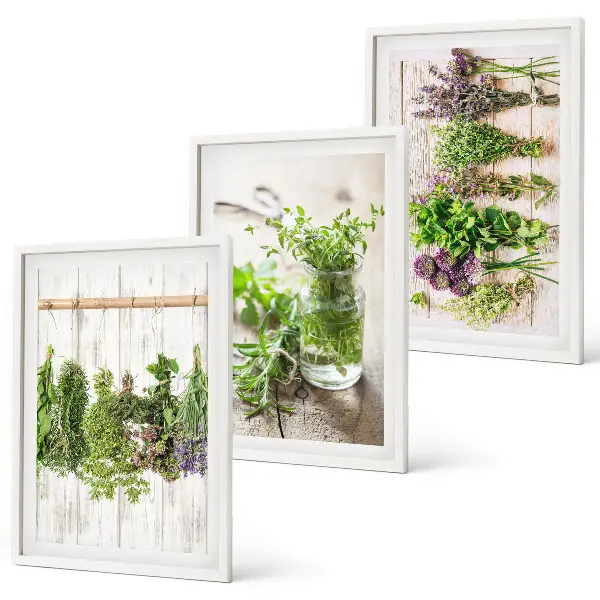 Set de tablouri pentru dormitor cu model plante aromatice pentru bucătărie