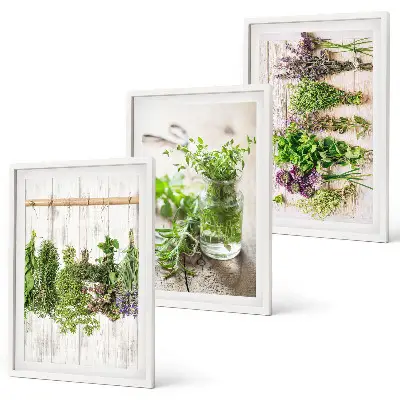 Set de tablouri pentru dormitor cu model plante aromatice pentru bucătărie