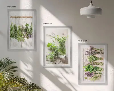 Set de tablouri pentru dormitor cu model plante aromatice pentru bucătărie