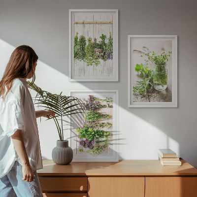 Set tablouri pentru dormitor Plante aromatice pentru bucătărie