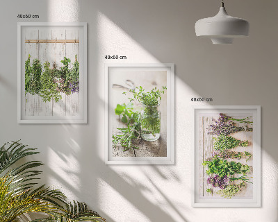 Set tablouri pentru dormitor Plante aromatice pentru bucătărie