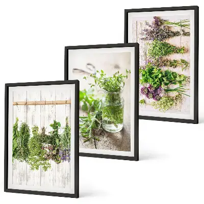 Set de tablouri pentru dormitor cu model plante aromatice pentru bucătărie