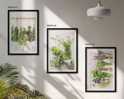 Set de tablouri pentru dormitor cu model plante aromatice pentru bucătărie