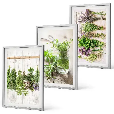 Set de tablouri pentru dormitor cu model plante aromatice pentru bucătărie